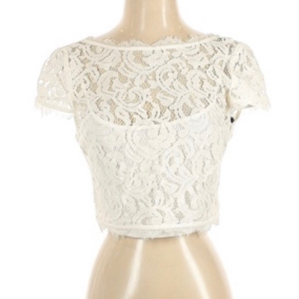 Beautiful Lace Crop Top, Adrianna Papell Soft Lace, V-neck Back, Zip Back, New